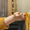 연강춘 | [원주 맛집] 일산동 팔보채, 깐풍기 맛집 중국집 연강춘 후기 냠