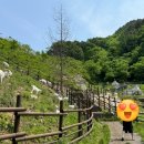 홍천산양목장 이미지