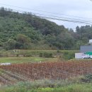 추성입구 이미지