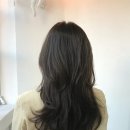 팔공컷트