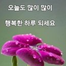 산청(대전) 이미지