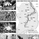 백두환경 조선일보