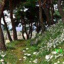 충의공원(충혼탑) 이미지