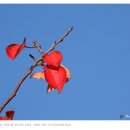 강변자전거길 2 이미지