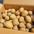 더팜코리아 이미지