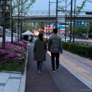 5월 먹고 산 이야기
