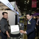 마이스타일 이미지