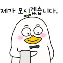 이안두피탈모 이미지