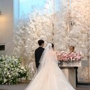 행진ing 노래연습장 | 파크컨벤션 파크홀 토요일 첫 타임 본식 &amp; 업체 후기 + 폐백 포함 (ft.필포토그라피 &amp; 라이트 스냅...