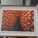 우리 소리관 이미지