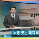 돈단지 - 사하구 다대로 289 | 돈단지