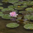 도천재 단서죽백 이미지