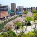 돌체호텔 이미지