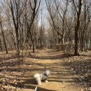 동명근린공원(축구장) 이미지