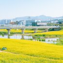 데이지카페 - 서대문구 모래내로 380 | 데이지카페