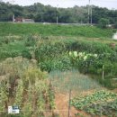 재상농장 이미지