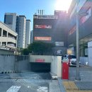 아산 음봉카페 스테프핫도그 수제 햄버거 포장 후기