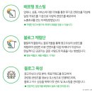 블로그 광고의 꿀아이템/ 애드플러스로 매출 상승!!