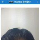 디씨헤어 네이버블로그