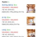 섬진강 찔레꽃 언덕 이미지