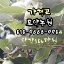 모악농원