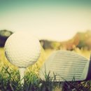 탑스크린골프아카데미 이미지