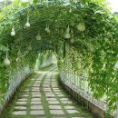 초막골생태공원(초록화장실) 이미지