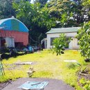 해수분식 이미지