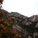 기를품은 이미지