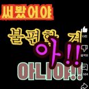 놈모텔 | 조제, 호랑이 그리고 물고기들 [영화후기]