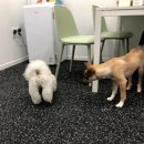 새양산유치원 이미지