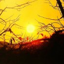 [메아리] 주말 단수, 자영업자에겐 재난이었다(한국일보)/[빛명상] 한 잔의 물 / 가장 소중한 것 / 학회는 새벽녘 약수터 이미지