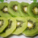 아델라농장 이미지