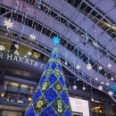 하카타1번가 | 5. [후쿠오카 여행기] 1일차 : 드림 인 하카타 호텔 후기 / 하카타 모츠나베 오오야마 하카타1번가점 후기