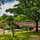 수원시 체육회주변 이미지