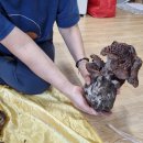 어답산 어슬렁빌리지 이미지