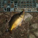 명암낚시터 이미지