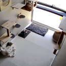 울산호텔 | 울산 고양이 호텔 냥코캐슬 내돈내산 솔직후기 ෆ