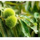 고을농장 이미지