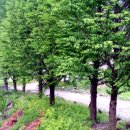 뜨락엔햇살 이미지