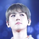 그린네이처 이미지