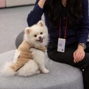 프렌즈동물병원 이미지
