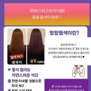 🔮 머릿결 살리고 컬러도 살리는, 탈색 없는 팡팡염색