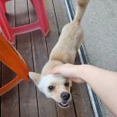 정동바다민박 이미지