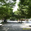 대천공원(도시속에서 아름다운공원) 이미지