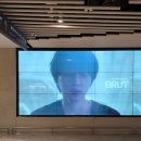 세운 BRUT🍀 이미지