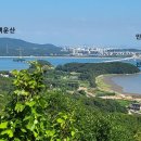 능원4리 네이버블로그