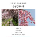 수양시장 이미지