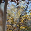 정원본가 이미지