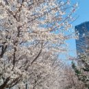 홈플러스(주)원천점 이미지